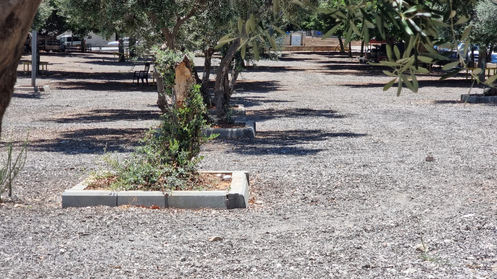 WhatsApp Image 2021-07-08 at 12.45.08 PM (1).jpeg